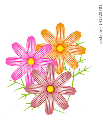 秋色のコスモスの花のイラスト 141729781