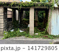 蔦が生い茂る廃墟 141729805