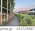 フェンス沿いの脇道　朝 141729887