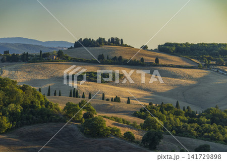 Rolling golden hills of the Val d'Orcia, Tuscany, Italy Rolling golden hills of the Val d'Orcia, Tuscany, Italy 141729898