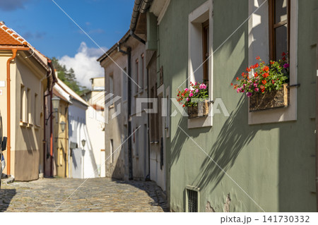 Blahoslavova street in Trebic old town with flowers Blahoslavova street in Trebic old town with flowers 141730332