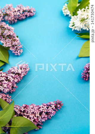 fresh spring lilac blossoms with colorful floral arrangement fresh spring lilac blossoms with colorful floral arrangement 141730474