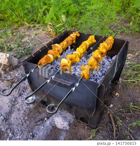 barbecue grill with kebab skewers standing on ground at countryside plot 141730815