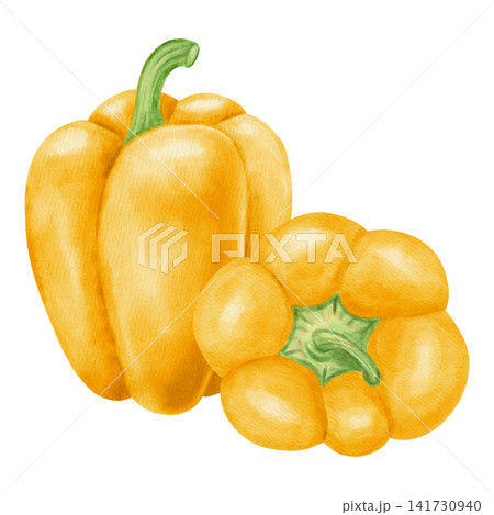 Watercolor illustration, composition with yellow bell pepper. Hand-drawn whole and cut ripe sweet peppers with fresh green leaves. Suitable for kitchen textiles, packaging, harvest, and agriculture Watercolor illustration, composition with yellow bell pepper. Hand-drawn whole and cut ripe sweet peppers with fresh green leaves. Suitable for kitchen textiles, packaging, harvest, and agriculture 141730940