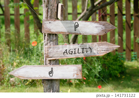 Signpost with wooden arrows points toward agility in a garden setting. Green grass and flowers surround the area, indicating a natural environment Signpost with wooden arrows points toward agility in a garden setting. Green grass and flowers surround the area, indicating a natural environment 141731122