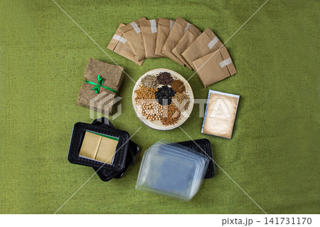 Different seed types create visual diversity and structured arrangement. Microgreens seed variety on wooden plate in home gardening kit. Indoor sprouting kit with jute mats and growing trays. Different seed types create visual diversity and structured arrangement. Microgreens seed variety on wooden plate in home gardening kit. Indoor sprouting kit with jute mats and growing trays. 141731170