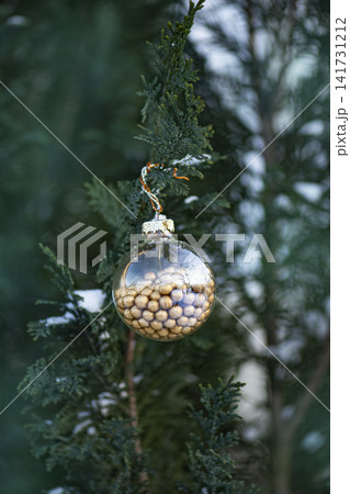 Outdoor natural light illuminates glass ball from multiple angles revealing texture and color of golden bead filling within sphere. Outdoor natural light illuminates glass ball from multiple angles revealing texture and color of golden bead filling within sphere. 141731212