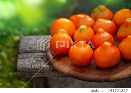 Tomato yellow truffle. Many tomatoes on wooden table. Fresh ripe organic garden tomatoes on wooden table. Tomato yellow truffle. Many tomatoes on wooden table. Fresh ripe organic garden tomatoes on wooden table. 141731227