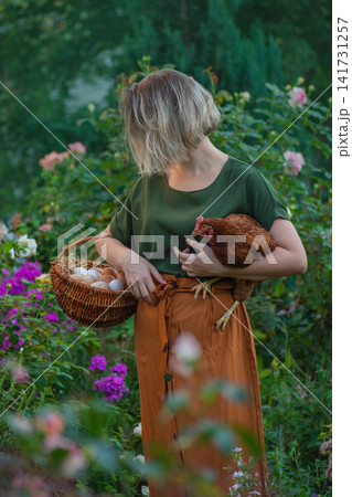 Farmer collecting fresh eggs from backyard chicken coop. Healthy red hen remains calm in female farmer hands beside basket containing freshly gathered eggs. Farmer collecting fresh eggs from backyard chicken coop. Healthy red hen remains calm in female farmer hands beside basket containing freshly gathered eggs. 141731257