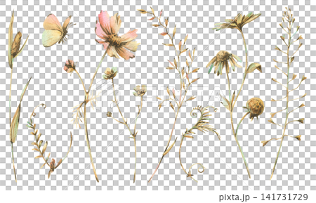 Wildflowers and grass set painted in watercolor. Collection of botanical illustrations in pastel tone. Elements with butterfly for wedding invitation and greeting card design. Wildflowers and grass set painted in watercolor. Collection of botanical illustrations in pastel tone. Elements with butterfly for wedding invitation and greeting card design. 141731729