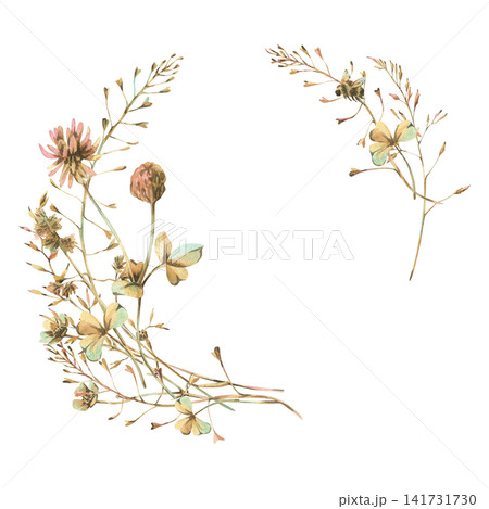 Watercolor frame of hand drawn wild clover flowers and meadow grass in pastel tone. Botanical illustration of summer plants for wedding card design, invitation and stationery decoration. Watercolor frame of hand drawn wild clover flowers and meadow grass in pastel tone. Botanical illustration of summer plants for wedding card design, invitation and stationery decoration. 141731730