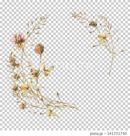 Watercolor frame of hand drawn wild clover flowers and meadow grass in pastel tone. Botanical illustration of summer plants for wedding card design, invitation and stationery decoration. Watercolor frame of hand drawn wild clover flowers and meadow grass in pastel tone. Botanical illustration of summer plants for wedding card design, invitation and stationery decoration. 141731730