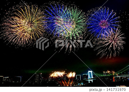 夜空に咲く花火 夜空に咲く花火 141731970