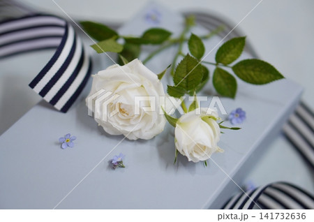 ブルーの箱に白い薔薇とリボン ブルーの箱に白い薔薇とリボン 141732636
