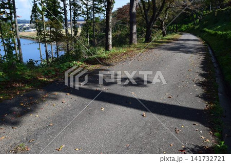 山岳道路 山形県庄内 山岳道路 山形県庄内 141732721
