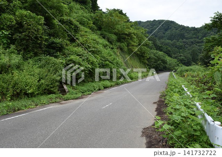 山岳道路 山形県庄内 山岳道路 山形県庄内 141732722
