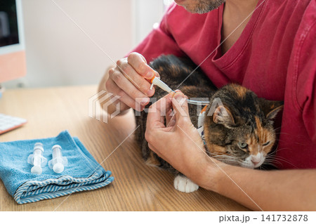 Responsible man pet owner caring for ill cat, person holds and calming cat while opens esophagostomy 141732878