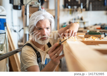 Experienced man crafter working with vintage wooden door at workbench mindfully checking surface 141732995