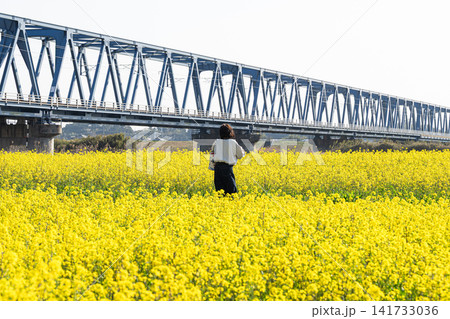 菜の花畑に佇む女性 常磐線 春の風景 菜の花畑に佇む女性 常磐線 春の風景 141733036