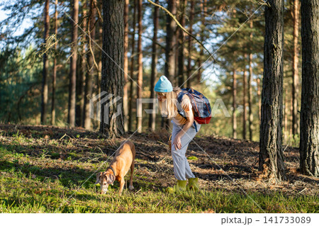 Curious woman forager hiker and dog hunting together in forest for truffles and porcini mushrooms. Curious woman forager hiker and dog hunting together in forest for truffles and porcini mushrooms. 141733089