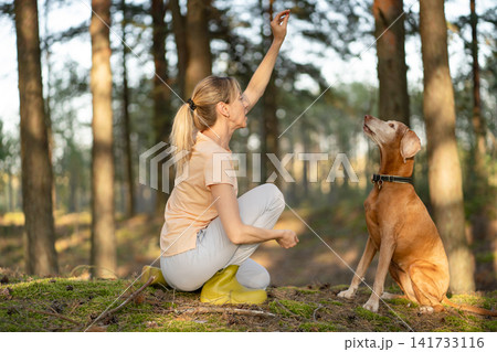Positive woman pet owner providing obedience training for beloved Vizsla dog outdoors in forest. 141733116