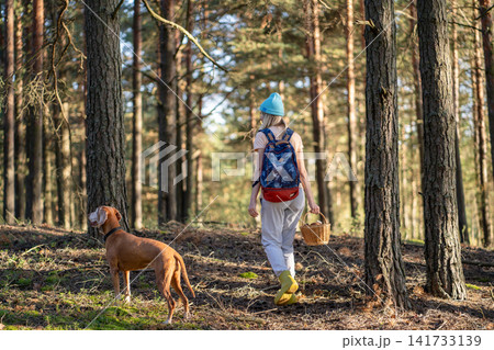 Woman forager and dog on hike strolling in forest harvesting natural mushrooms and wild berries. Woman forager and dog on hike strolling in forest harvesting natural mushrooms and wild berries. 141733139