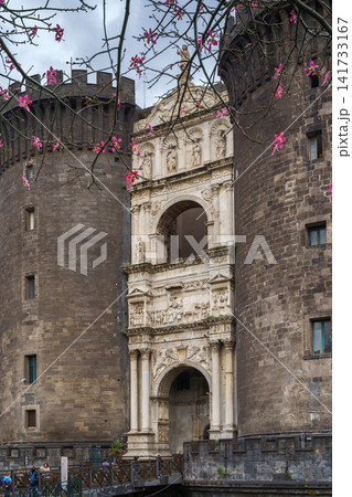 NAPLES, ITALY - NOVEMBER 05, 2018 - The medieval castle of Maschio Angioino or Castel Nuovo New Castle and the silk tree in bloom, Napoli NAPLES, ITALY - NOVEMBER 05, 2018 - The medieval castle of Maschio Angioino or Castel Nuovo New Castle and the silk tree in bloom, Napoli 141733167