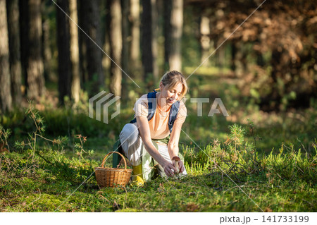 Smiling woman mushroom picker sitting at pine forest meadow gathering edible summer Boletus edulis. Smiling woman mushroom picker sitting at pine forest meadow gathering edible summer Boletus edulis. 141733199
