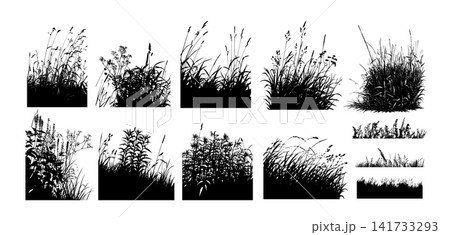 Grass black Silhouette . Set Hand drawn. Not AI, vector illustration. Grass black Silhouette . Set Hand drawn. Not AI, vector illustration. 141733293