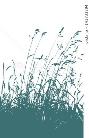 Grass blue silhouette vector isolated on white background nature design illustration of grass plant pattern greenery artwork Hand drawn. Not AI, vector illustration. Grass blue silhouette vector isolated on white background nature design illustration of grass plant pattern greenery artwork Hand drawn. Not AI, vector illustration. 141733294