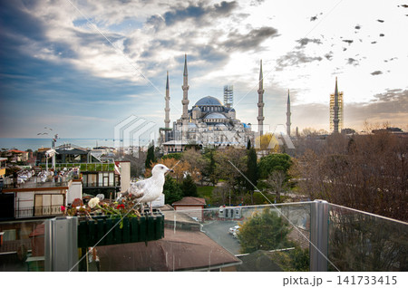 The silhouette of the Blue Mosque with its minarets at dusk seen from a rooftop with a seagull in Istanbul, Turkey, a moody historic skyline. The silhouette of the Blue Mosque with its minarets at dusk seen from a rooftop with a seagull in Istanbul, Turkey, a moody historic skyline. 141733415