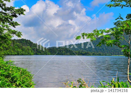 尾瀬沼　青空眩しい　夏の風景　　　　 141734158