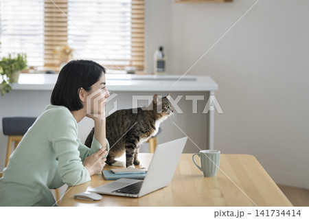 猫のいる暮らし ノートパソコンの前で頬杖をつく若い女性と猫 猫のいる暮らし ノートパソコンの前で頬杖をつく若い女性と猫 141734414