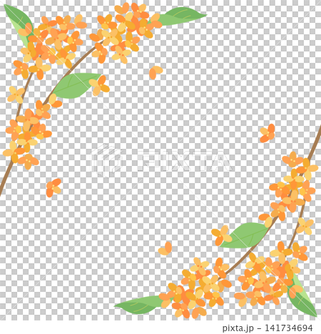 Autumn card decorated with osmanthus flowers (1:1 aspect ratio version) Autumn card decorated with osmanthus flowers (1:1 aspect ratio version) 141734694