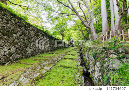【滋賀県東近江市】百済寺 苔むす表門前と新緑の絶景 【滋賀県東近江市】百済寺 苔むす表門前と新緑の絶景 141734697