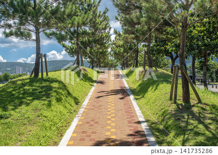 沖縄県名護市21世紀の森公園 141735286