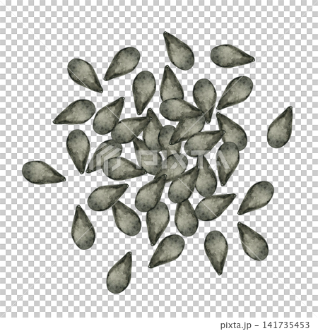 黑芝麻能量食品 - 水彩插圖 141735453