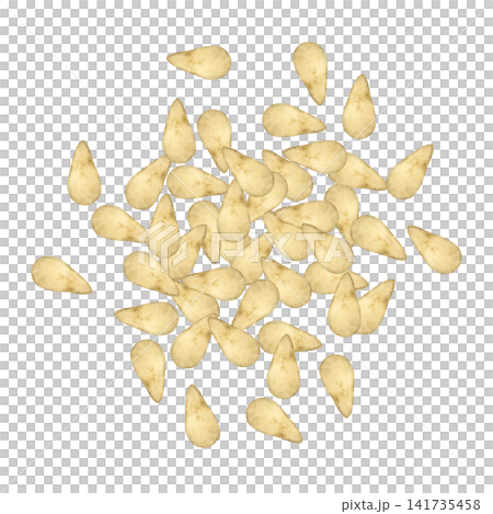 白芝麻——能量食品——水彩插畫 白芝麻——能量食品——水彩插畫 141735458