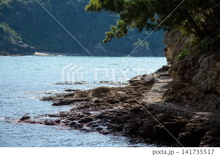 岩場の海岸遊歩道と穏やかな入江の風景 岩場の海岸遊歩道と穏やかな入江の風景 141735517