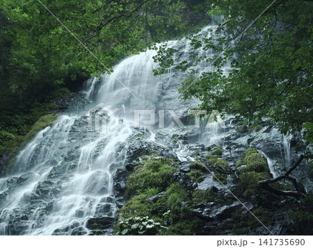 福井龍双ヶ滝 141735690