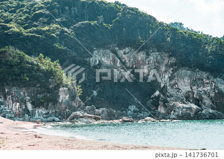 海岸にそびえる岩壁と豊かな自然の風景 海岸にそびえる岩壁と豊かな自然の風景 141736701