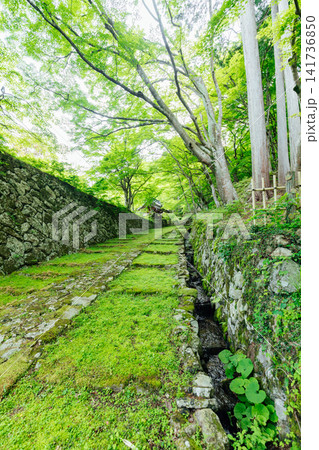 【滋賀県東近江市】百済寺 苔むす表門前と新緑の絶景 【滋賀県東近江市】百済寺 苔むす表門前と新緑の絶景 141736850