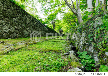 【滋賀県東近江市】百済寺 苔むす表門前と新緑の絶景 【滋賀県東近江市】百済寺 苔むす表門前と新緑の絶景 141736851