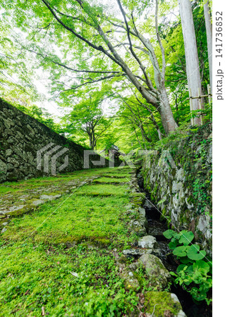 【滋賀県東近江市】百済寺 苔むす表門前と新緑の絶景 【滋賀県東近江市】百済寺 苔むす表門前と新緑の絶景 141736852