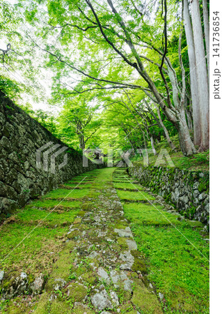 【滋賀県東近江市】百済寺 苔むす表門前と新緑の絶景 【滋賀県東近江市】百済寺 苔むす表門前と新緑の絶景 141736854