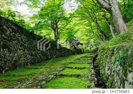 【滋賀県東近江市】百済寺　苔むす表門前と新緑の絶景 141736861