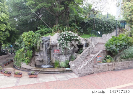 朝の大きな公園で散歩をする 朝の大きな公園で散歩をする 141737180