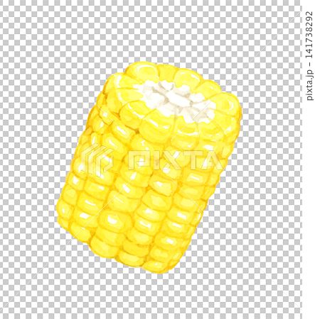 カットした黄色のトウモロコシ 夏野菜の手描き水彩イラスト素材 カットした黄色のトウモロコシ 夏野菜の手描き水彩イラスト素材 141738292
