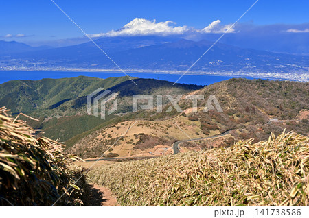 伊豆半島の伊豆山稜線歩道 達磨山より望む富士山 伊豆半島の伊豆山稜線歩道 達磨山より望む富士山 141738586
