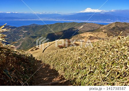 伊豆半島の伊豆山稜線歩道 達磨山の笹原の登山道から望む富士山 伊豆半島の伊豆山稜線歩道 達磨山の笹原の登山道から望む富士山 141738587